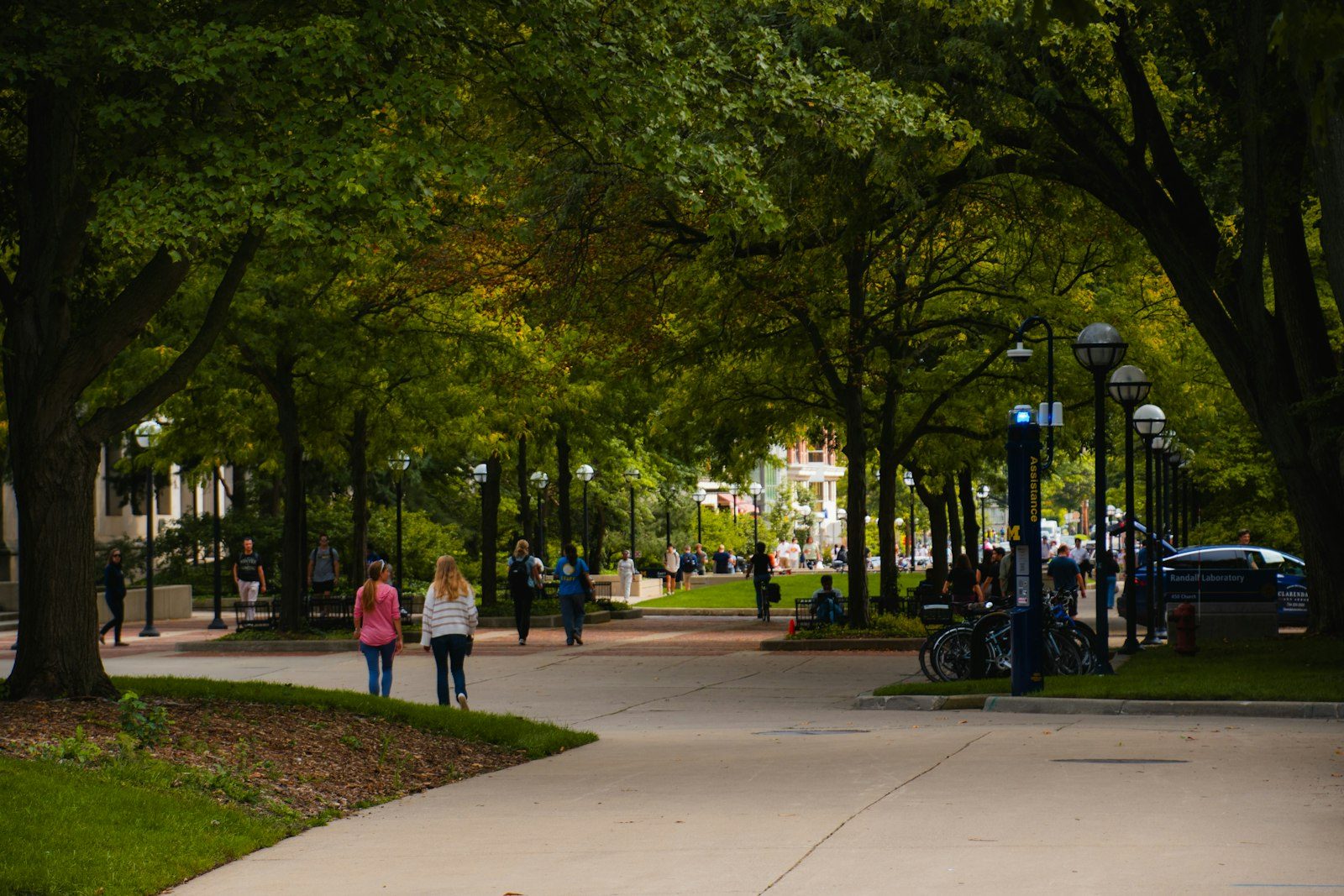 A tree-lined path through a university campus in late summer, students walking under the trees