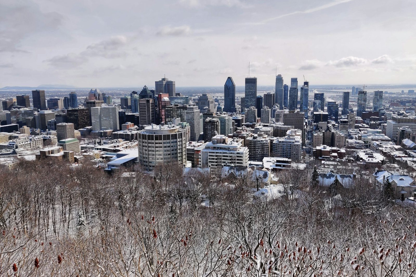 Downtown Montreal seen from Mount Royal in winter, snow on the trees and rooftops below the towers