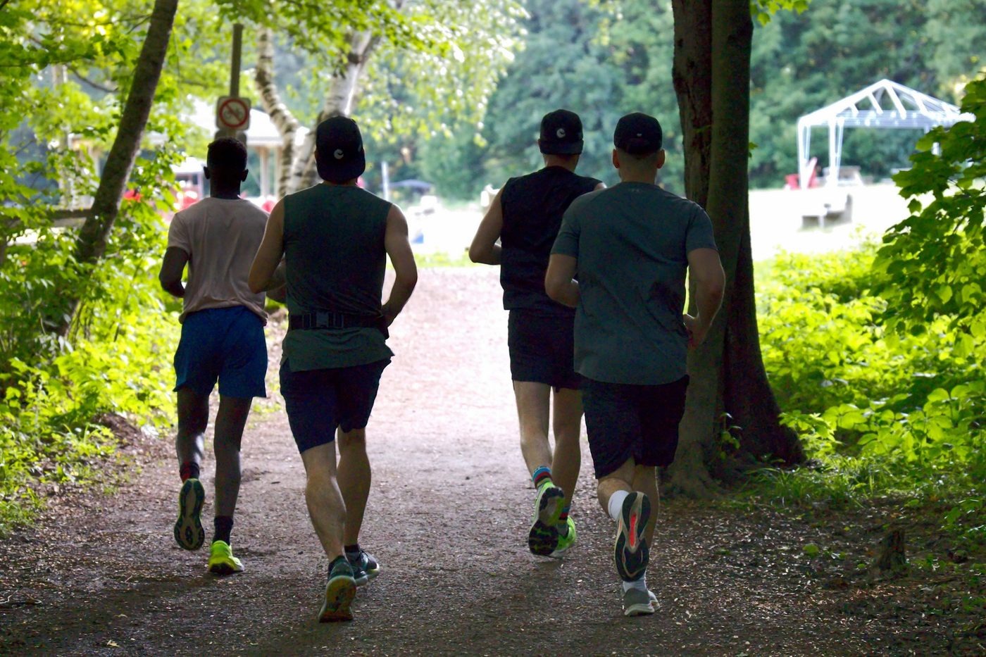 Four runners seen from behind jogging on a shaded dirt path through the woods toward a sunlit clearing