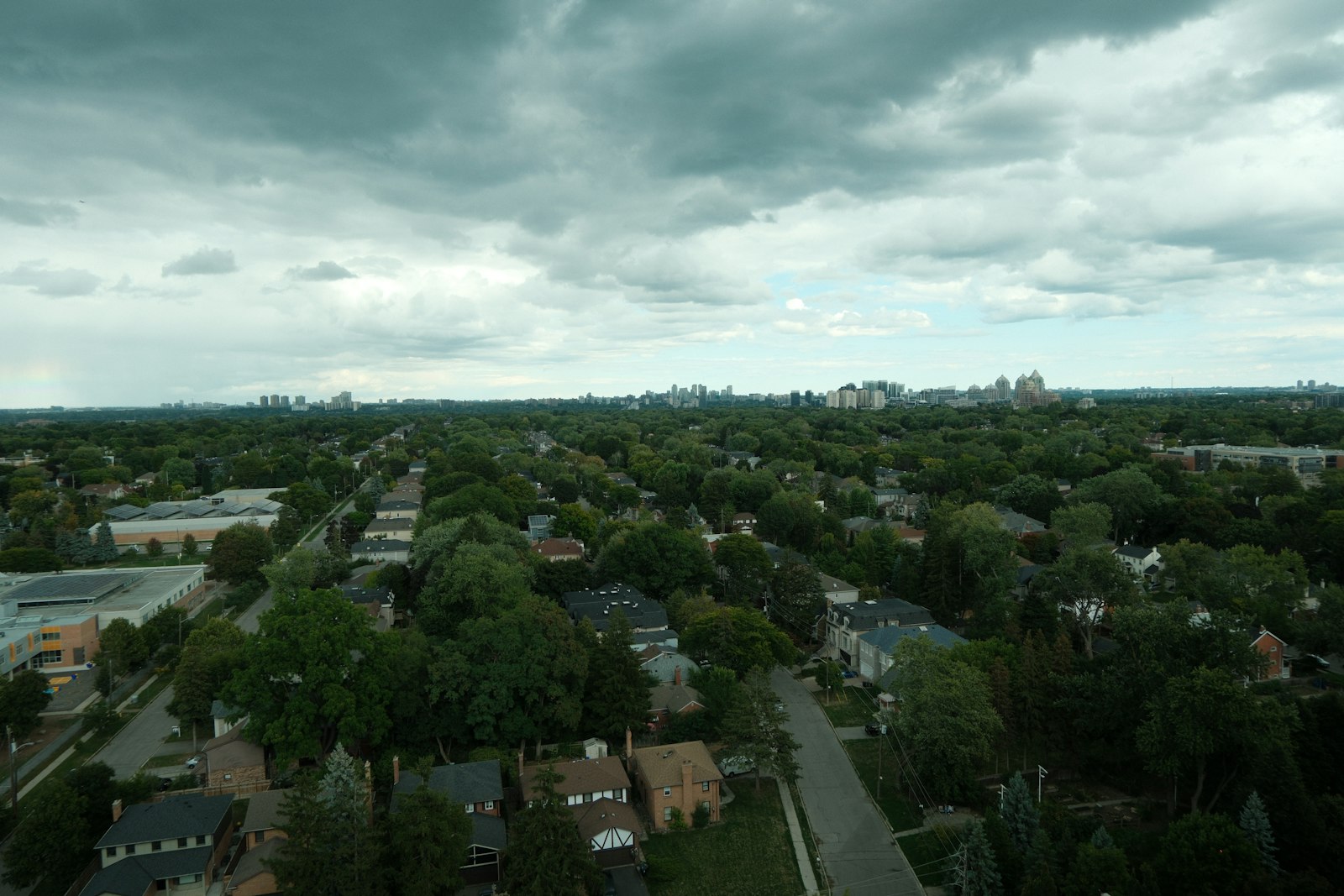 Aerial view of a tree-lined suburban neighbourhood under a cloudy sky