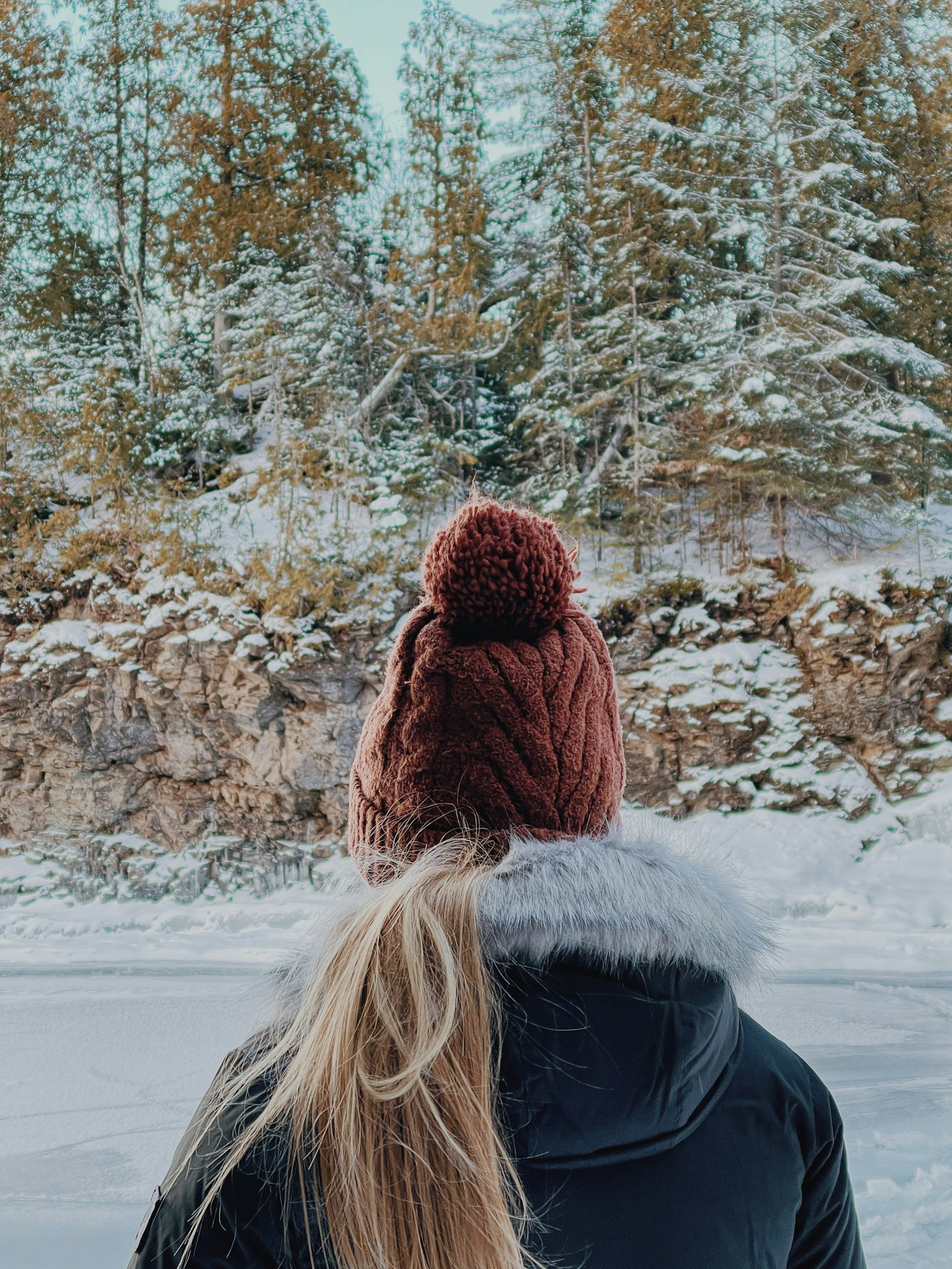 A person seen from behind in a winter coat and knitted toque standing in falling snow among trees